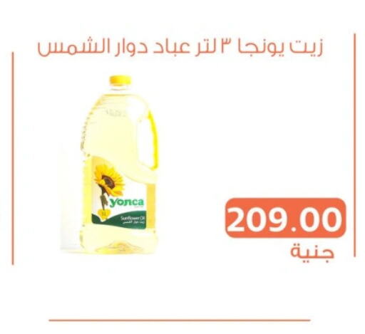  Sunflower Oil  in Ghallab Market in Egypt - Cairo