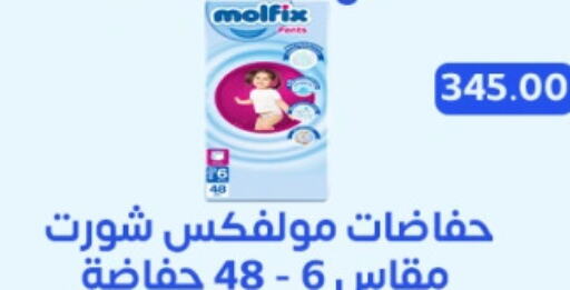 MOLFIX   in Ghallab Market in Egypt - Cairo