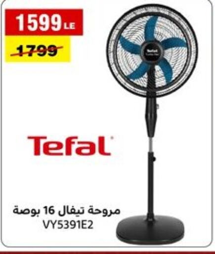 TEFAL مروحة  in المرشدي in Egypt - القاهرة