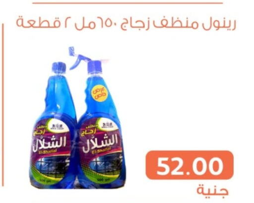  General Cleaner  in Ghallab Market in Egypt - Cairo