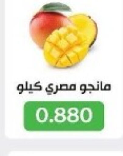 Mango Mangoes  in Jleeb Coop in Kuwait - Kuwait City