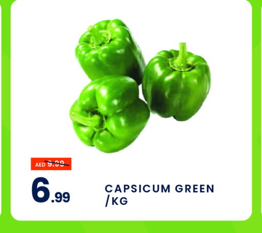  Chilli / Capsicum  in MADHOOR SUPERMARKET L.L.C in UAE - Sharjah / Ajman