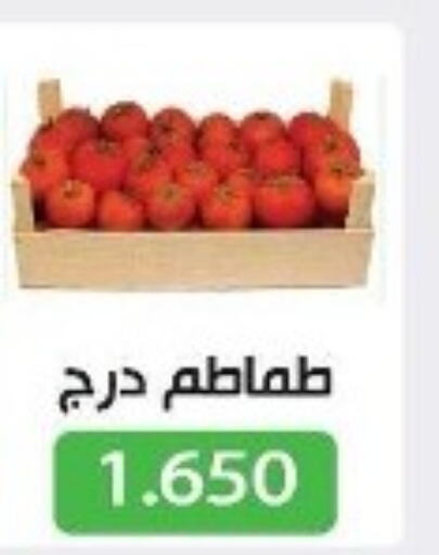  Tomato  in جمعية جليب الشويخ التعاونية in الكويت - مدينة الكويت