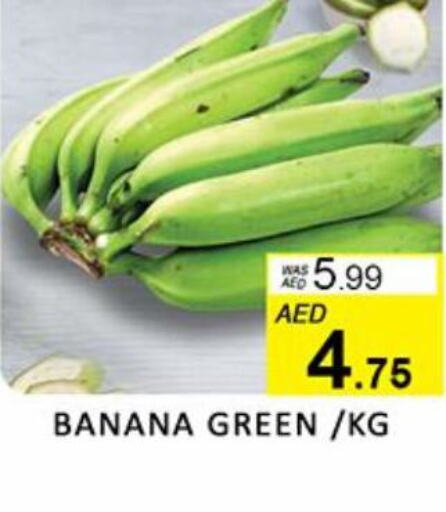  Banana  in المدينة in الإمارات العربية المتحدة , الامارات - الشارقة / عجمان