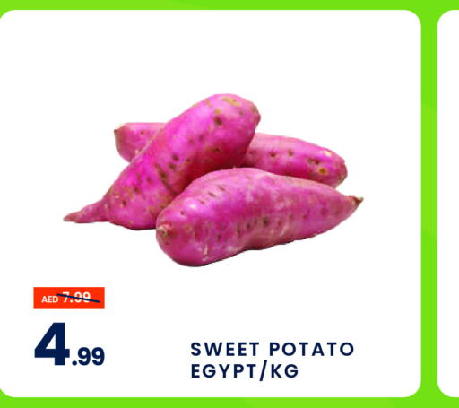  Sweet Potato  in MADHOOR SUPERMARKET L.L.C in UAE - Sharjah / Ajman