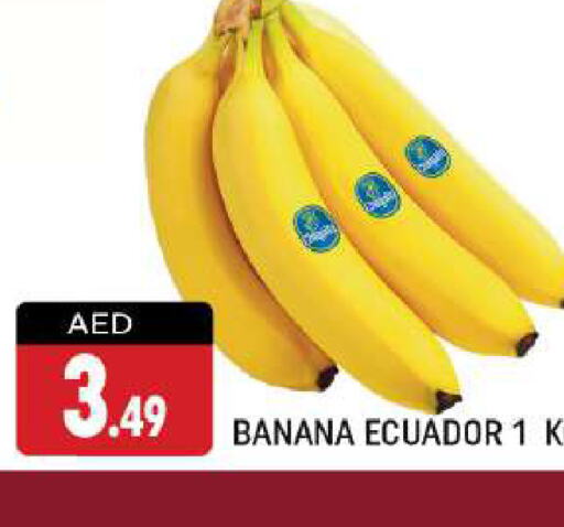  Banana  in شكلان ماركت in الإمارات العربية المتحدة , الامارات - دبي