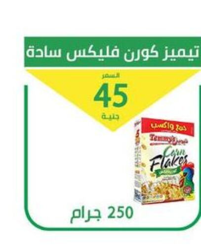 TEMMYS Cereals  in Elomda Market  in Egypt - Cairo