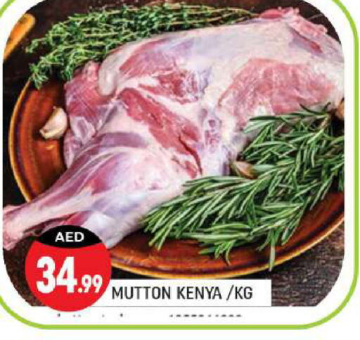  Mutton / Lamb  in Shaklan  in UAE - Dubai