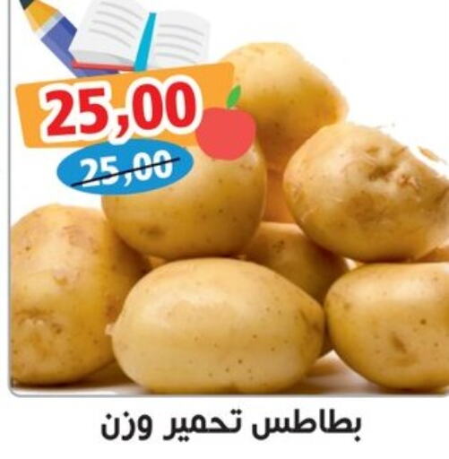  Potato  in أولاد حسان in Egypt - القاهرة