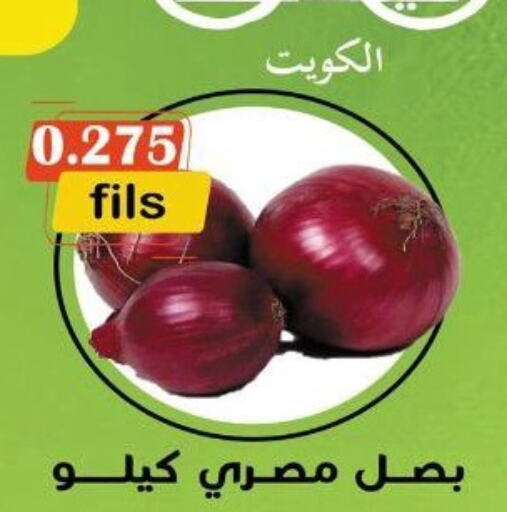  Onion  in khitancoop in Kuwait - Ahmadi Governorate