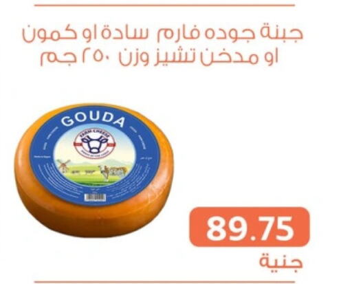 Gouda