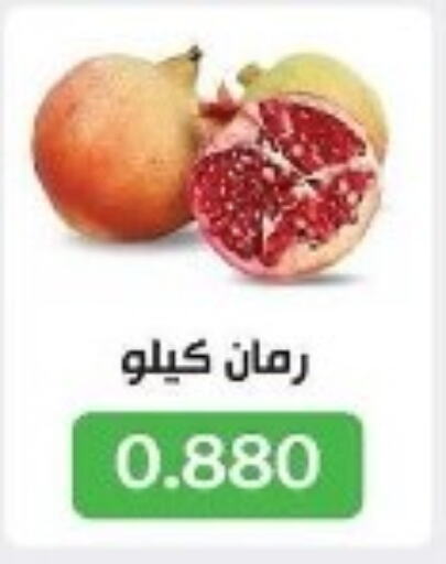  Pomegranate  in Jleeb Coop in Kuwait - Kuwait City