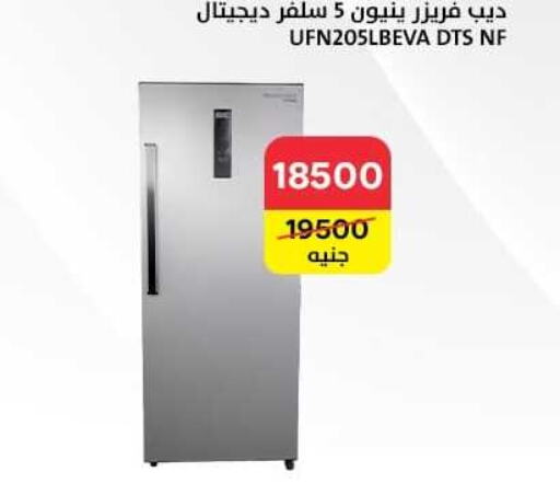  Freezer  in Al Masreen group in Egypt - Cairo