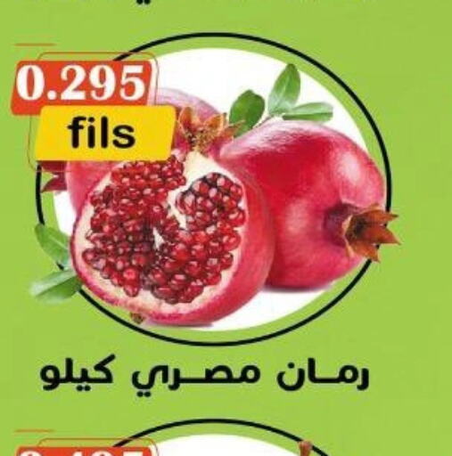  Pomegranate  in khitancoop in Kuwait - Jahra Governorate