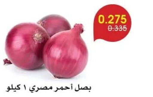  Onion  in جمعية الروضة وحولي التعاونية in الكويت - مدينة الكويت