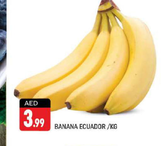  Banana  in Shaklan  in UAE - Dubai