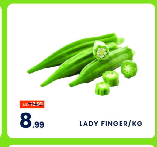  Lady's finger  in MADHOOR SUPERMARKET L.L.C in UAE - Sharjah / Ajman