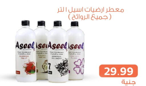  General Cleaner  in Ghallab Market in Egypt - Cairo