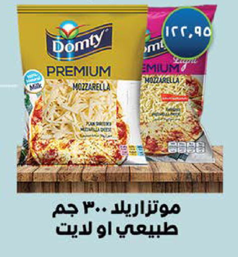 DOMTY Mozzarella  in Seoudi Supermarket in Egypt - Cairo