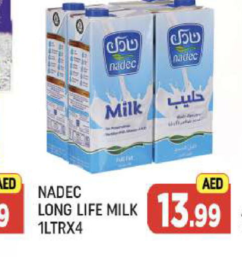  Long Life / UHT Milk  in AL MADINA (Dubai) in UAE - Dubai