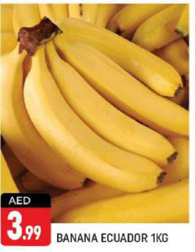  Banana  in شكلان ماركت in الإمارات العربية المتحدة , الامارات - دبي