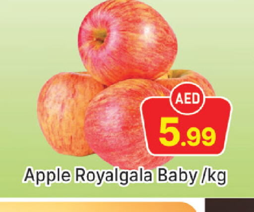  Apples  in المدينة in الإمارات العربية المتحدة , الامارات - دبي