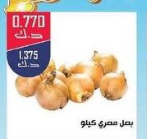  Onion  in Daiya Society in Kuwait - Ahmadi Governorate