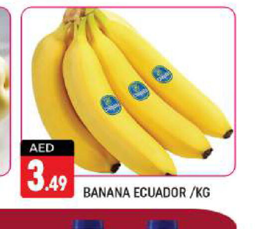  Banana  in Shaklan  in UAE - Dubai