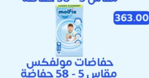 MOLFIX   in Ghallab Market in Egypt - Cairo