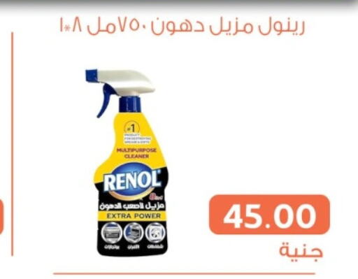  General Cleaner  in Ghallab Market in Egypt - Cairo