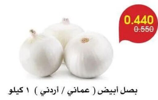  Onion  in جمعية الروضة وحولي التعاونية in الكويت - مدينة الكويت