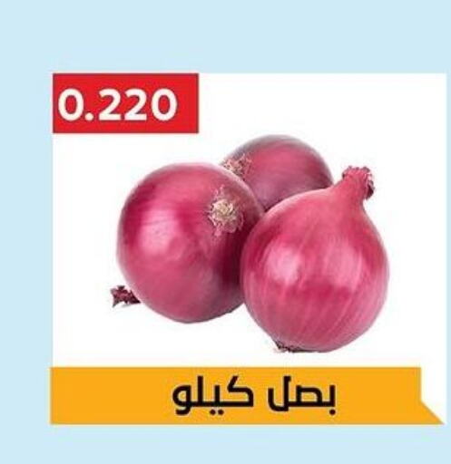  Onion  in Hadiya CO-OP Society in Kuwait - Ahmadi Governorate