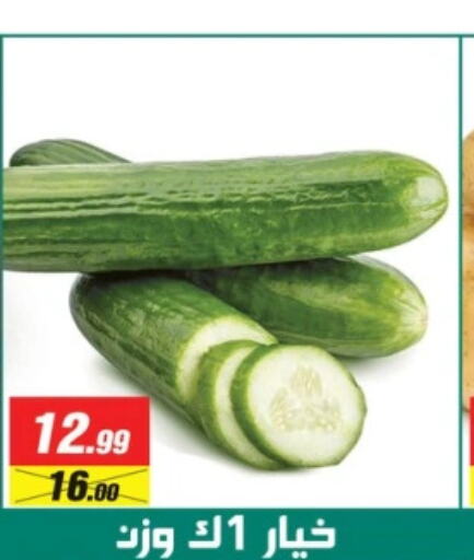  Cucumber  in Swan Mart  in Egypt - Cairo