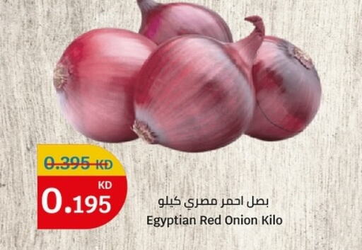  Onion  in سيتي سنتر in الكويت - محافظة الأحمدي