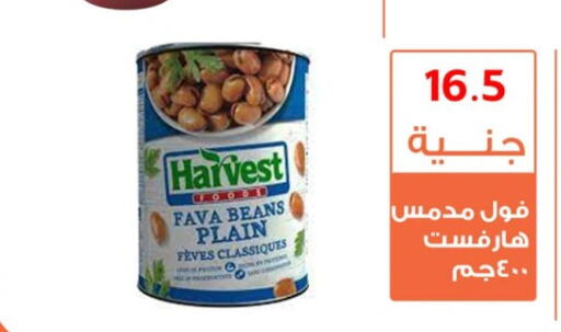  Fava Beans  in Ghallab Market in Egypt - Cairo