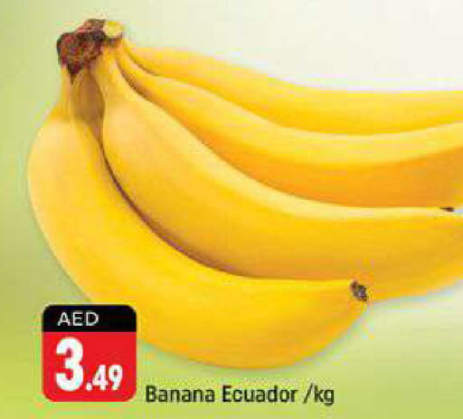  Banana  in Shaklan  in UAE - Dubai