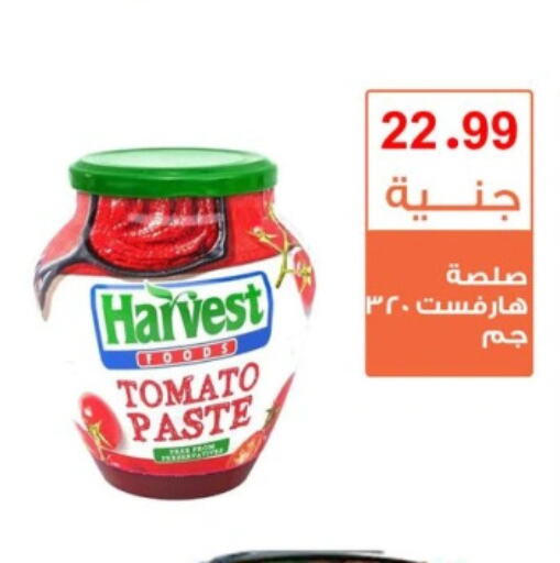  Tomato Paste  in Ghallab Market in Egypt - Cairo