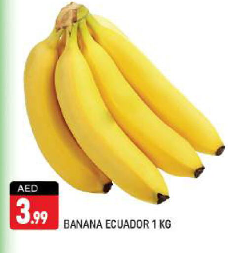  Banana  in شكلان ماركت in الإمارات العربية المتحدة , الامارات - دبي