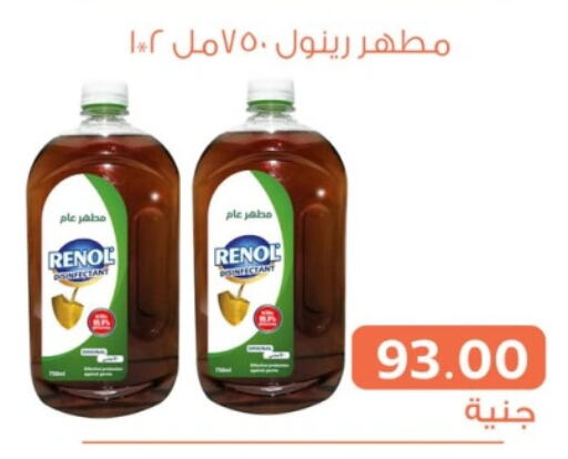  Disinfectant  in Ghallab Market in Egypt - Cairo