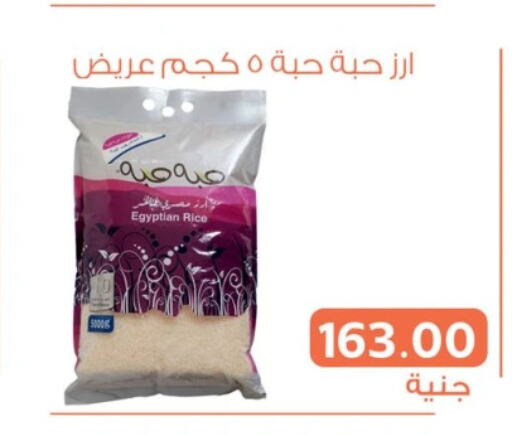  Calrose Rice  in Ghallab Market in Egypt - Cairo