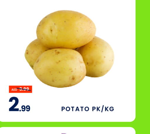  Potato  in MADHOOR SUPERMARKET L.L.C in UAE - Sharjah / Ajman