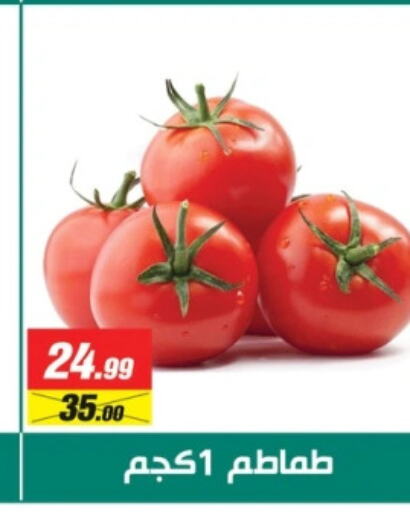  Tomato  in Swan Mart  in Egypt - Cairo