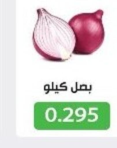  Onion  in جمعية جليب الشويخ التعاونية in الكويت - مدينة الكويت