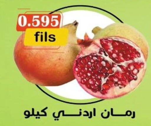  Pomegranate  in khitancoop in Kuwait - Jahra Governorate