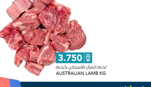  Mutton / Lamb  in Al Nasser Hypermarket in Kuwait - Ahmadi Governorate