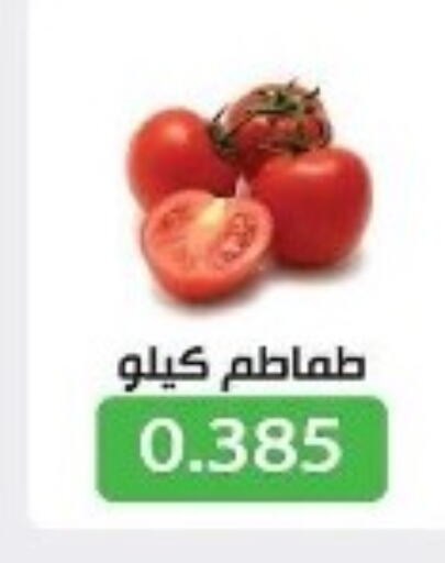  Tomato  in جمعية جليب الشويخ التعاونية in الكويت - مدينة الكويت