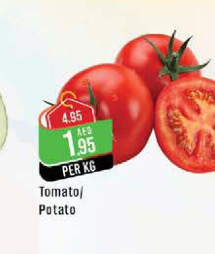  Tomato  in West Zone Supermarket in UAE - Abu Dhabi