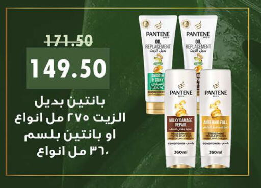 PANTENE شامبو / بلسم  in سعودي سوبرماركت in Egypt - القاهرة