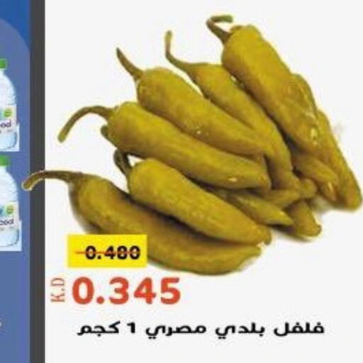  Chilli / Capsicum  in جمعية خيطان التعاونية in الكويت - محافظة الجهراء