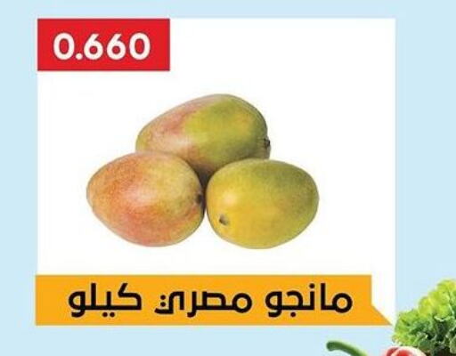 Mango Mango  in Hadiya CO-OP Society in Kuwait - Ahmadi Governorate